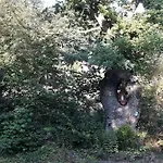 Le De Roanne-coo Stoumont