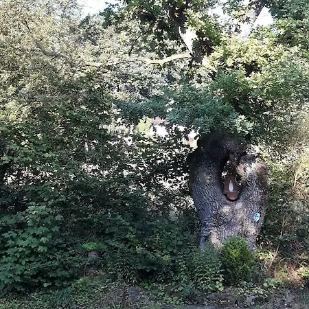 Le De Roanne-coo Stoumont