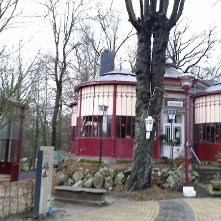 Chalet Le De Roanne-coo