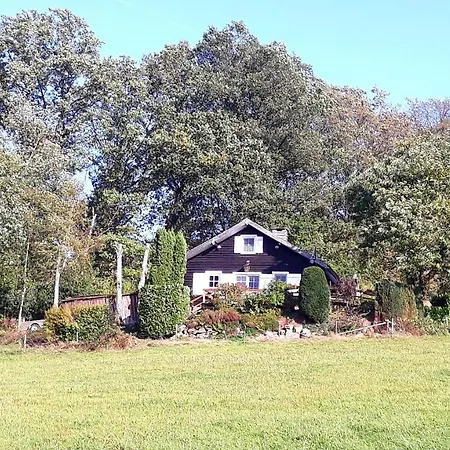 Le De Roanne-coo ستاومونت