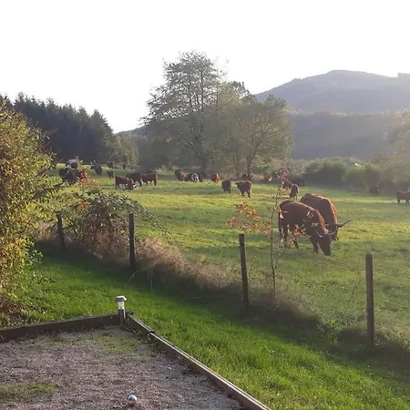 شاليه Le De Roanne-coo *